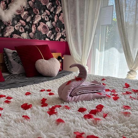 Romantisme Et Glamour 2 Avec Spa , Clim Et Jardin Дижон Экстерьер фото