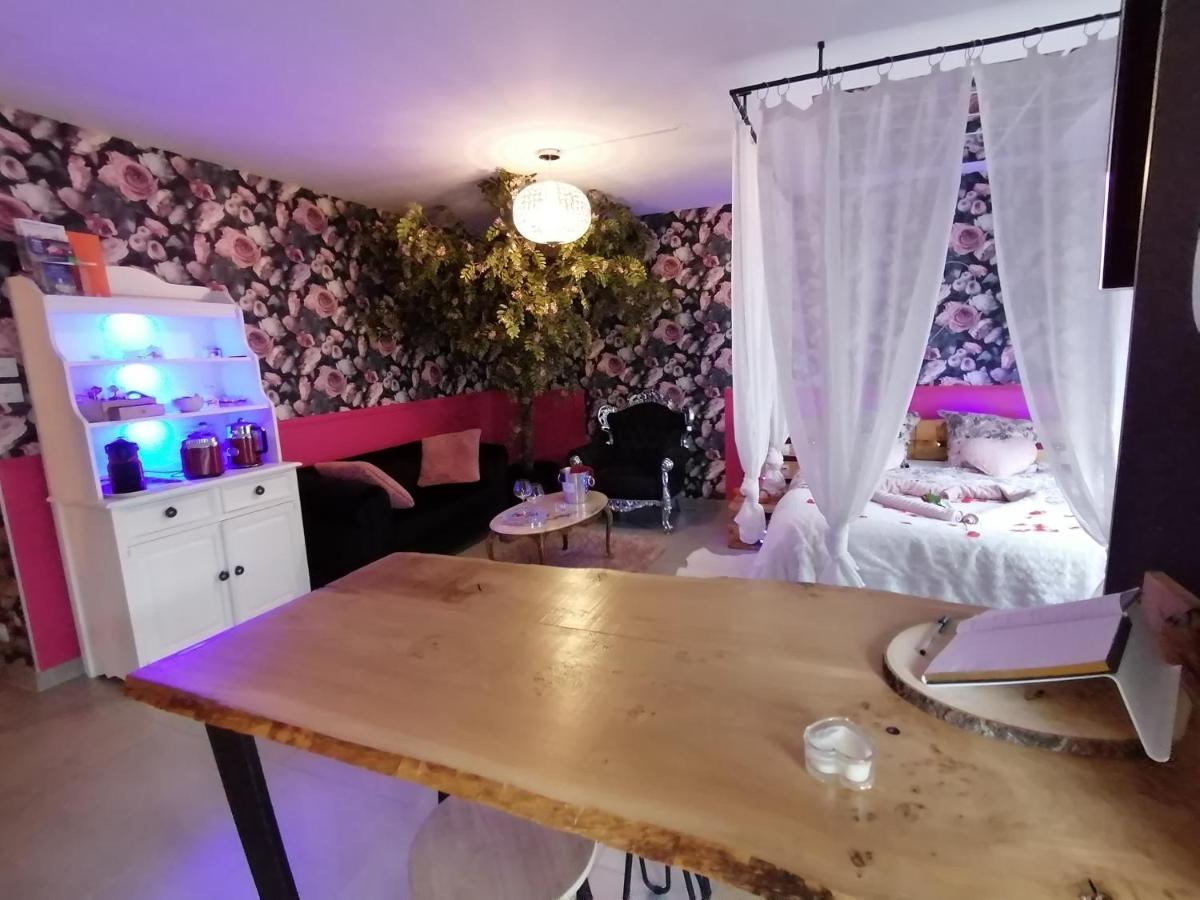 Romantisme Et Glamour 2 Avec Spa , Clim Et Jardin Дижон Экстерьер фото