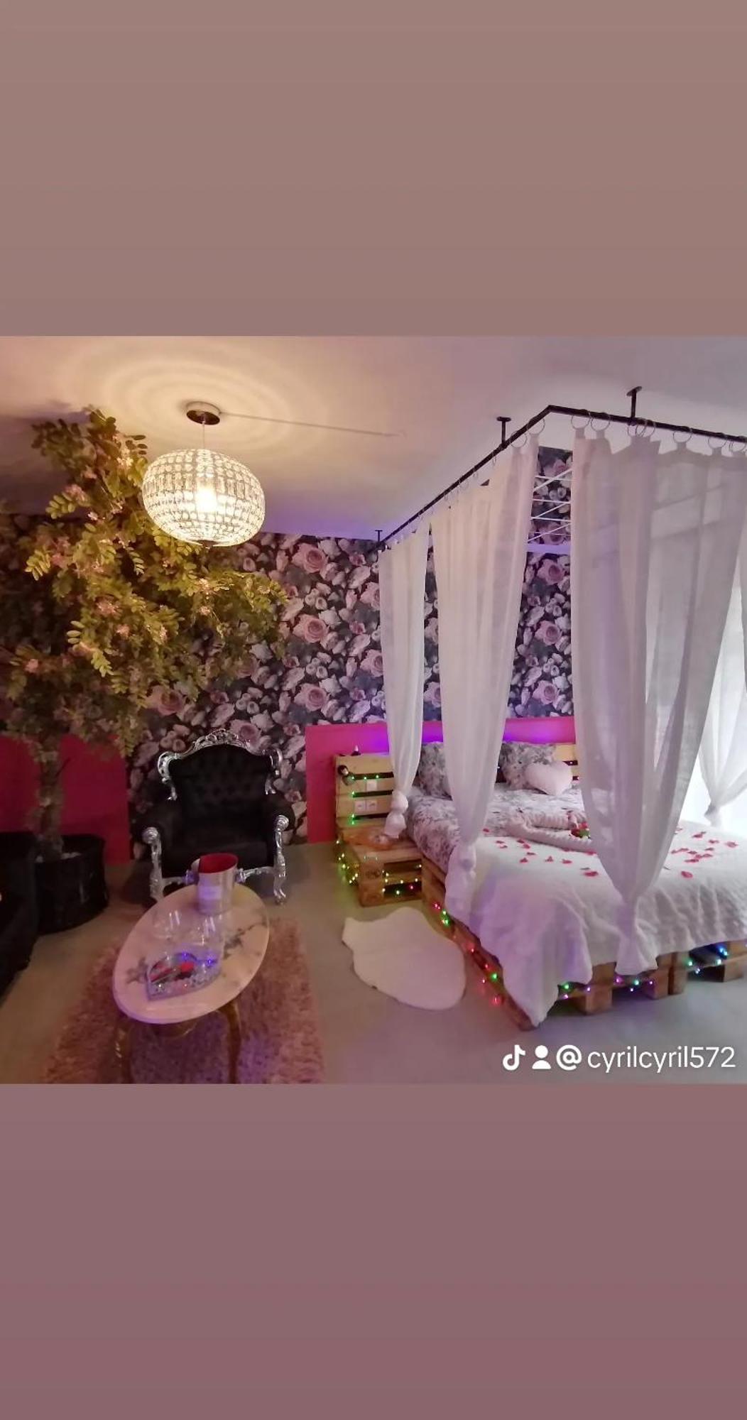 Romantisme Et Glamour 2 Avec Spa , Clim Et Jardin Дижон Экстерьер фото