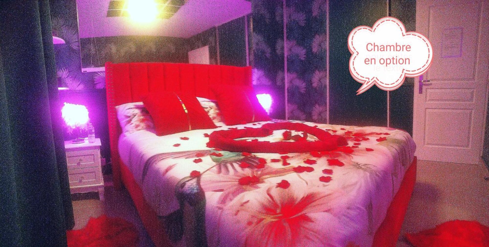 Romantisme Et Glamour 2 Avec Spa , Clim Et Jardin Дижон Экстерьер фото