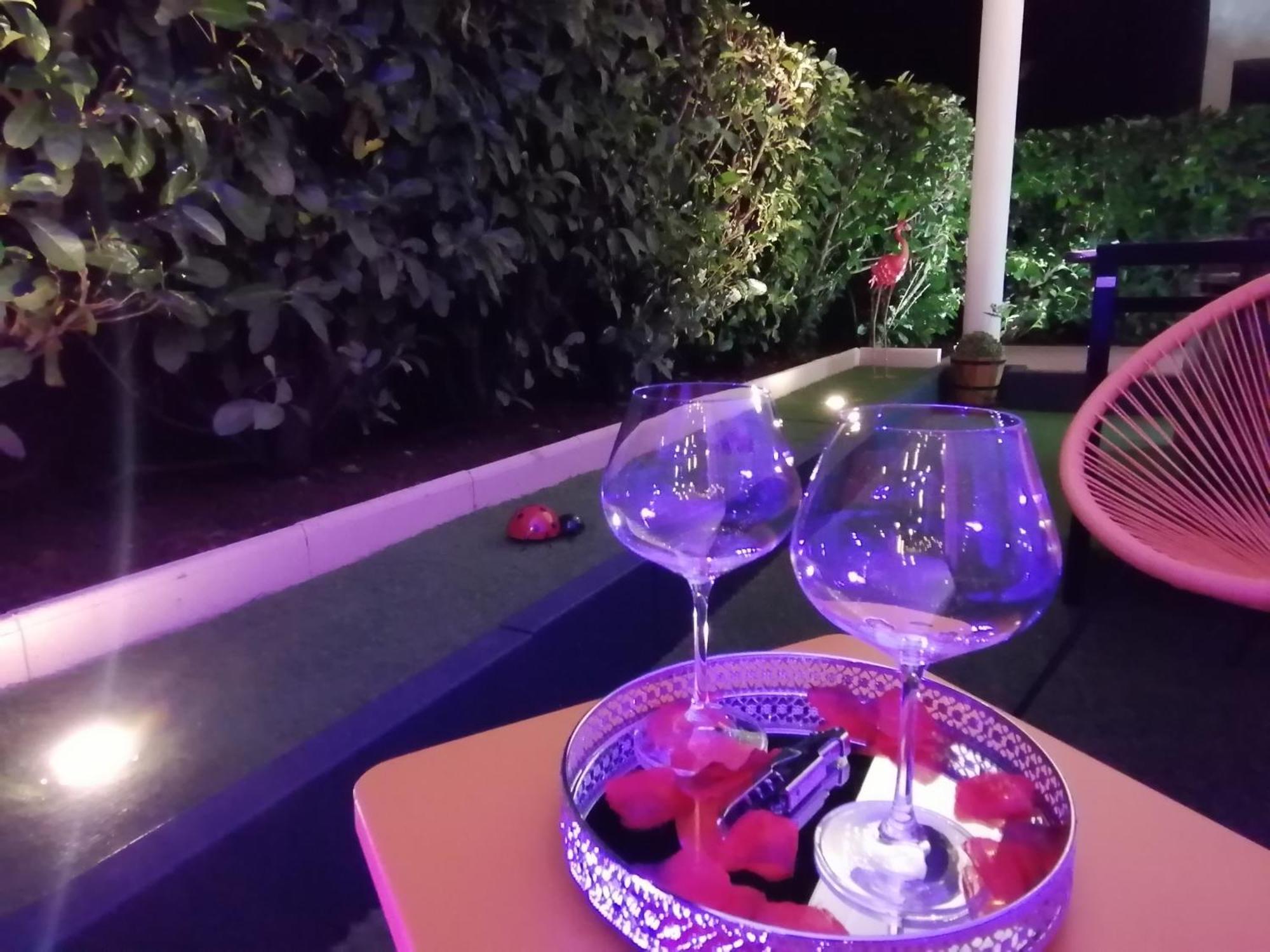 Romantisme Et Glamour 2 Avec Spa , Clim Et Jardin Дижон Номер фото